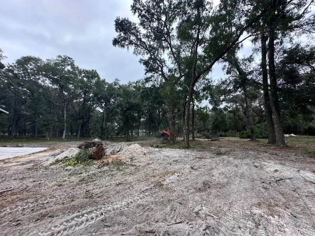 Dumpster Rentals, Land Clearing & Demolition
