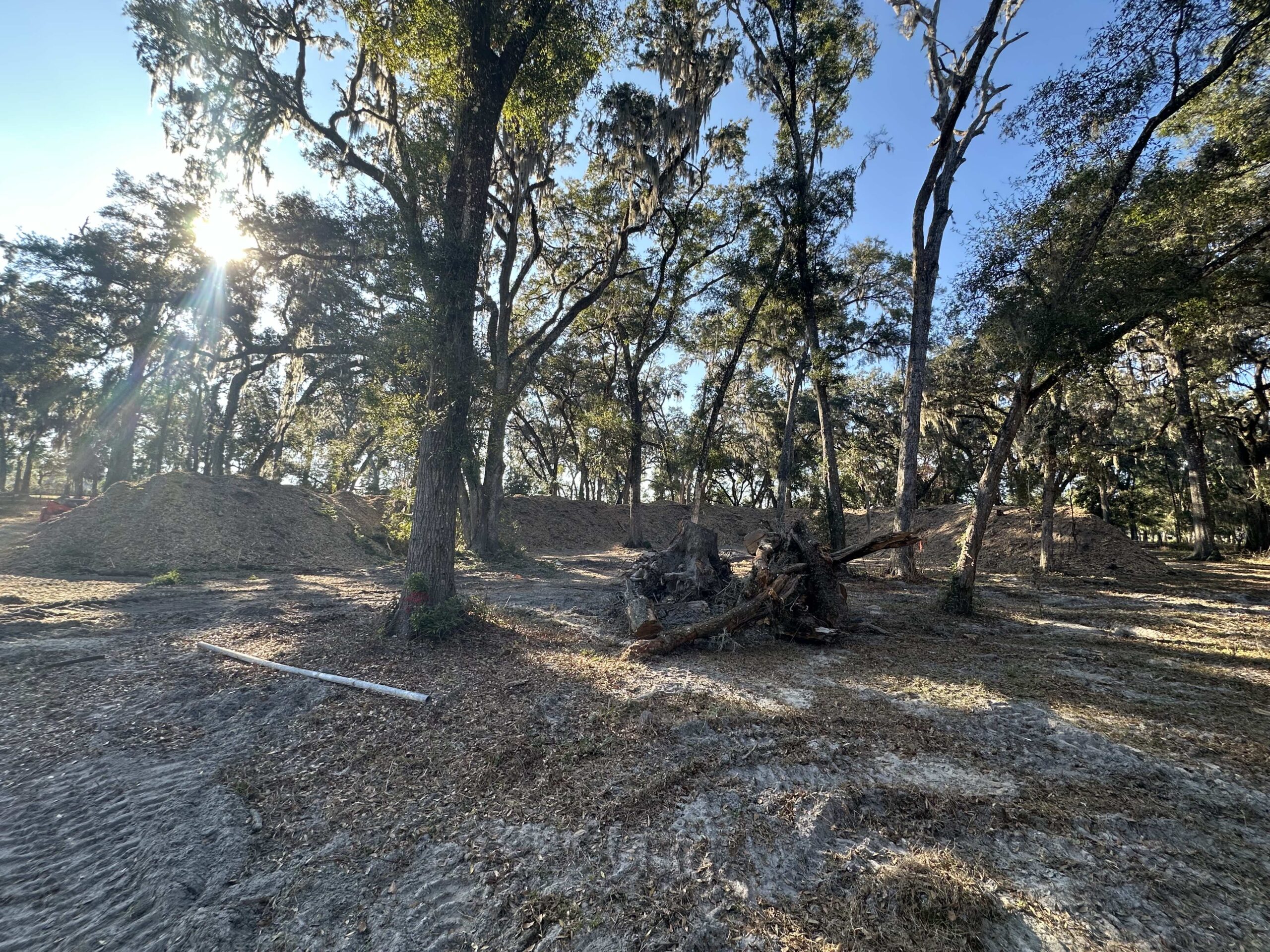 Dumpster Rentals, Land Clearing & Demolition